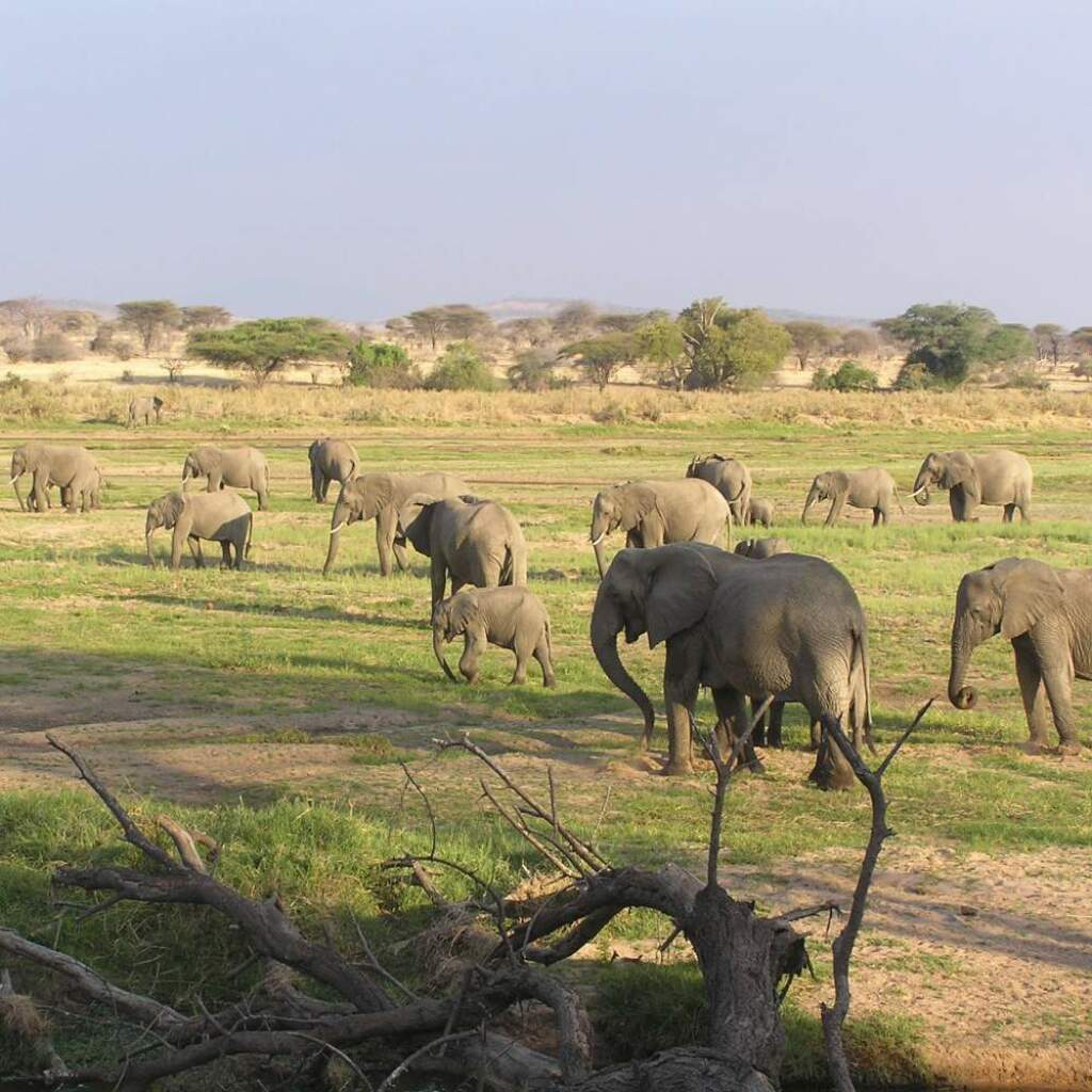 Motorradreisen Afrika Kenia Gruppe Abendessen